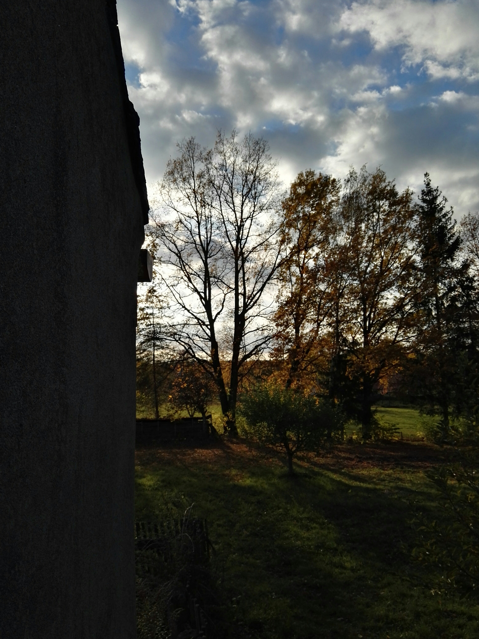 HUAWEI P8 sample photo. Untitled photography