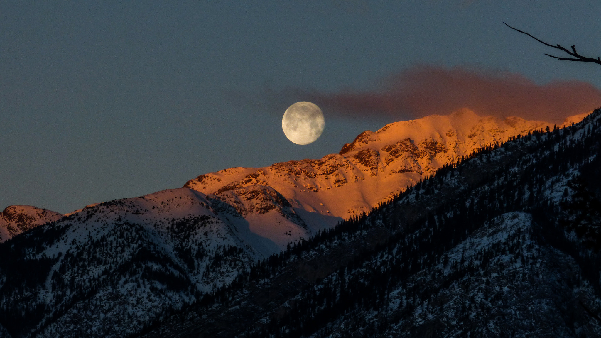 Panasonic Lumix DMC-FZ60 (Lumix DMC-FZ62) sample photo. Wolf moon in the sunrise photography