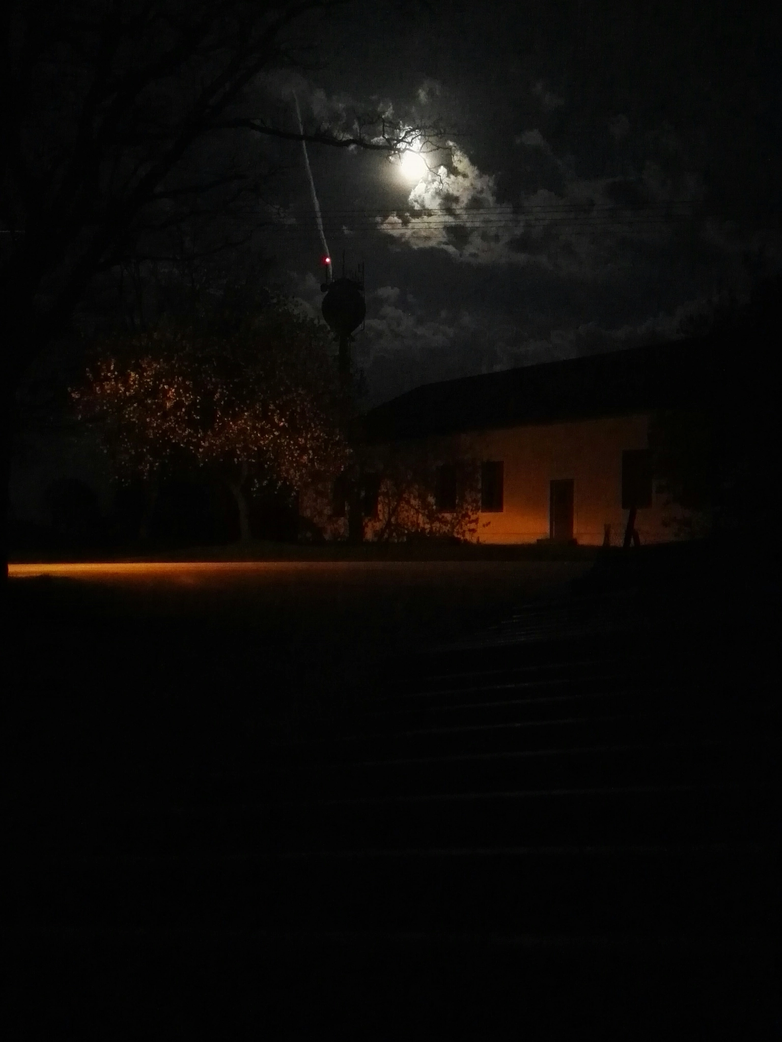 HUAWEI P8 sample photo. Untitled photography