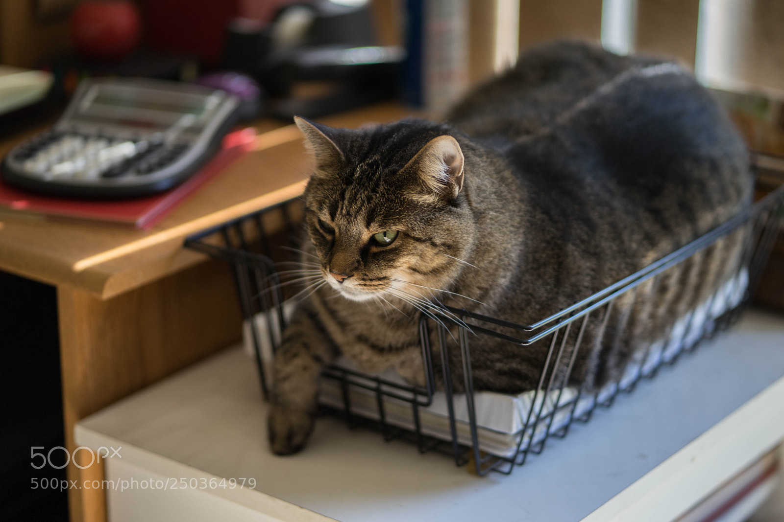 Sony a7 II sample photo. Paper weight photography