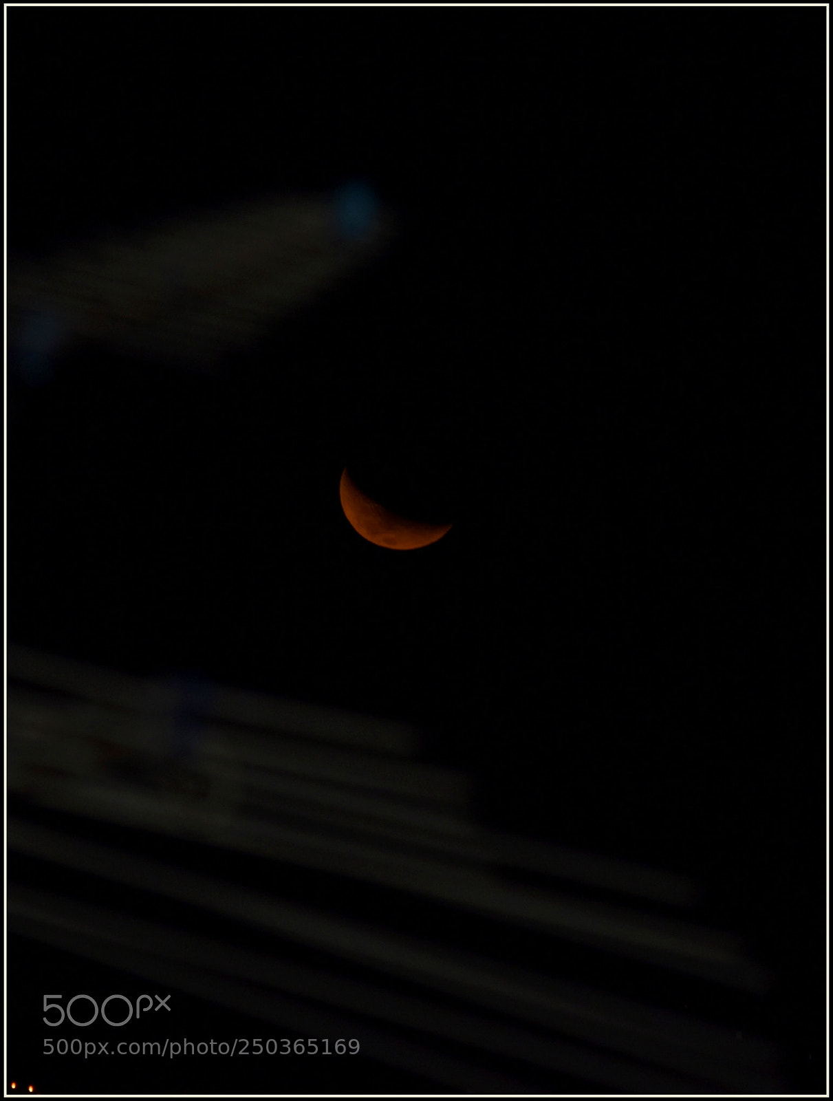 Nikon D5300 sample photo. .. photography