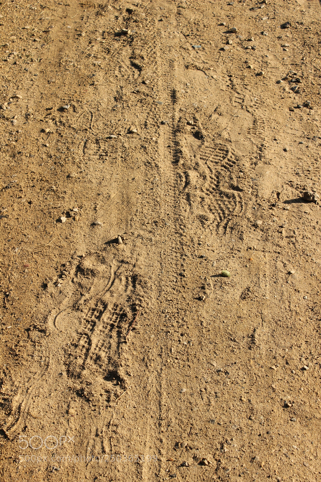 Canon EOS 600D (Rebel EOS T3i / EOS Kiss X5) sample photo. Foot tracks photography