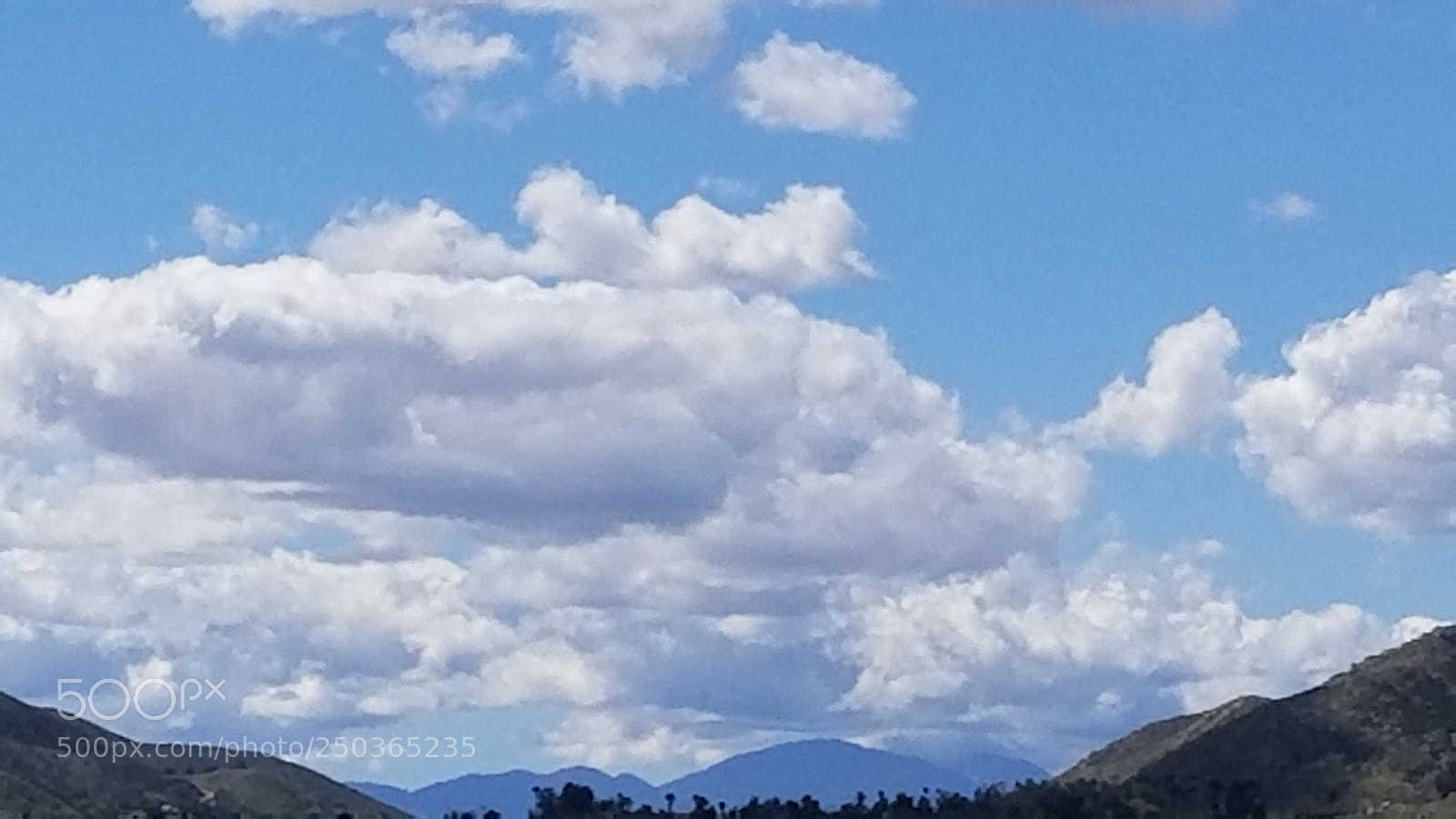 Samsung Galaxy S8+ sample photo. Life is..... photography