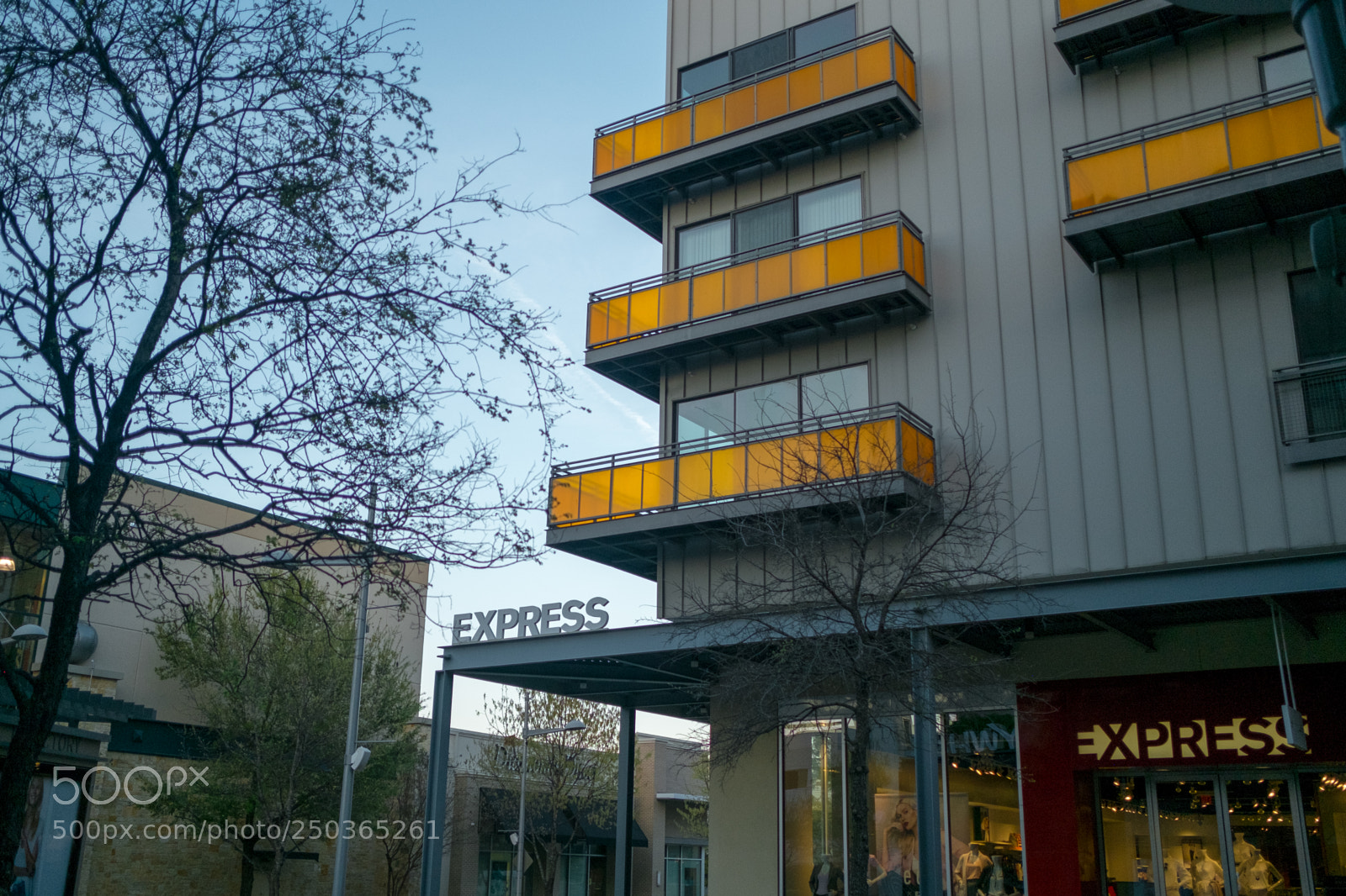 Fujifilm X-Pro1 sample photo. Yellow tint photography