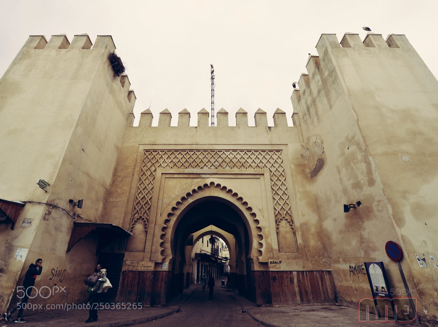 Nikon D800 sample photo. Medina gate photography