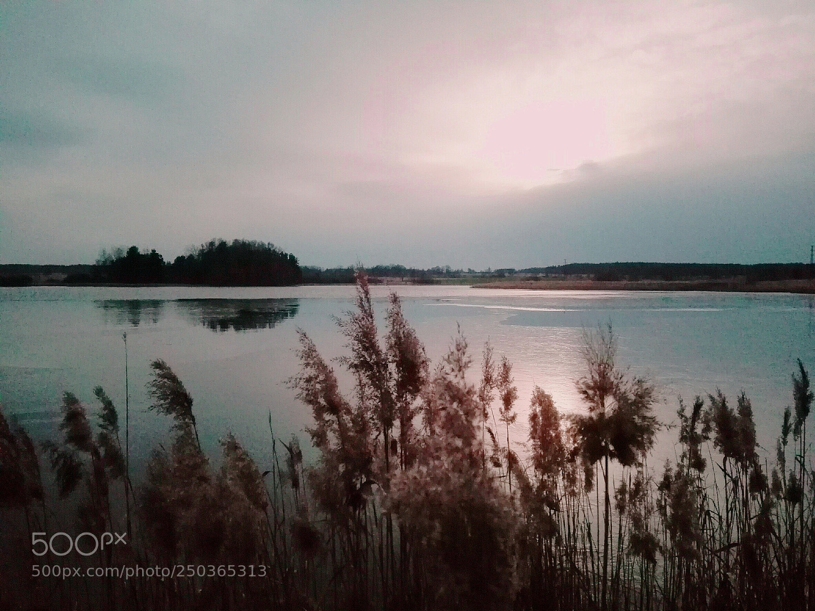 HUAWEI P8 Lite sample photo. Untitled photography