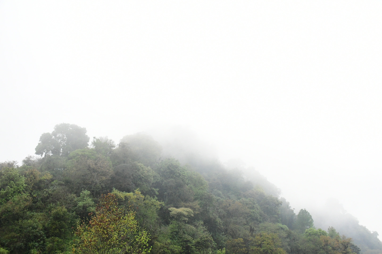 Nikon D7500 sample photo. Días de neblina. photography