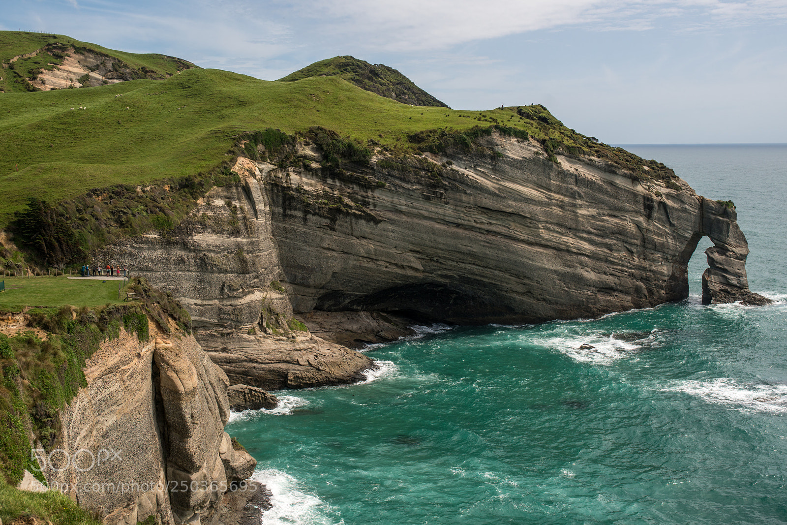Sony a7R II sample photo. Slightly above the cape photography