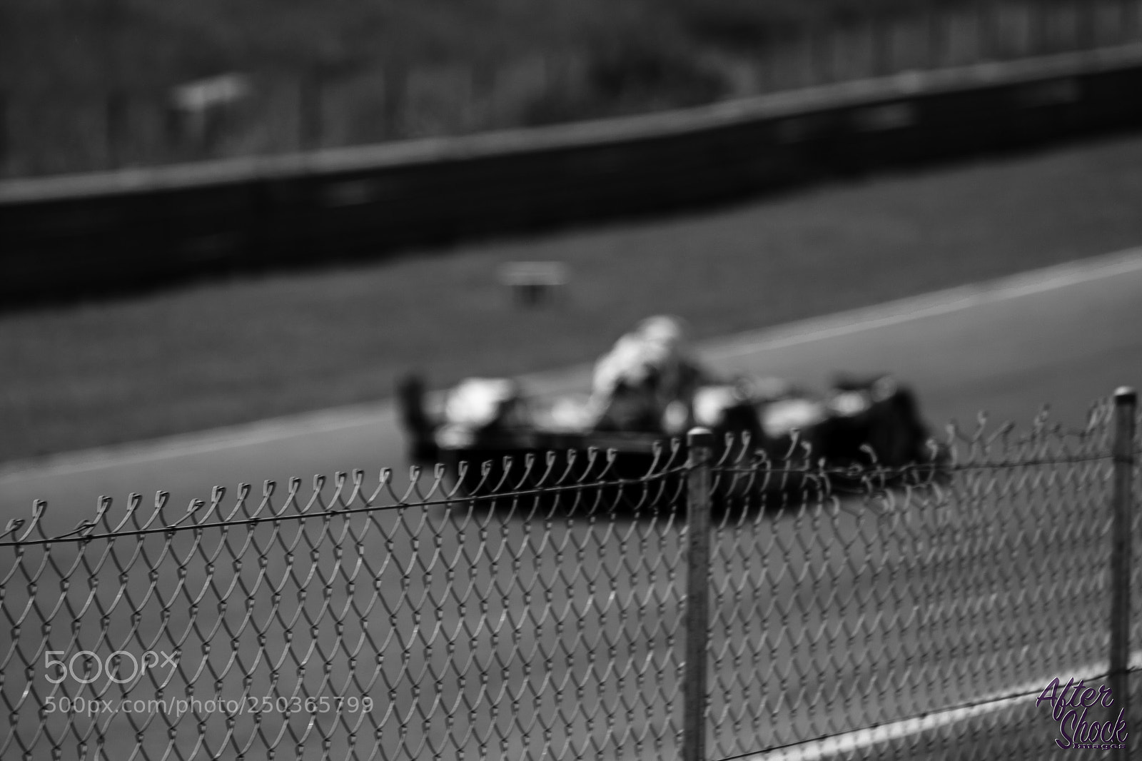 Canon EOS 700D (EOS Rebel T5i / EOS Kiss X7i) sample photo. Through the fence  photography