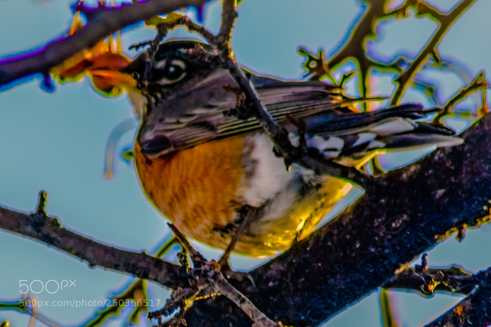 Nikon D3400 sample photo. Sure sign of spring photography