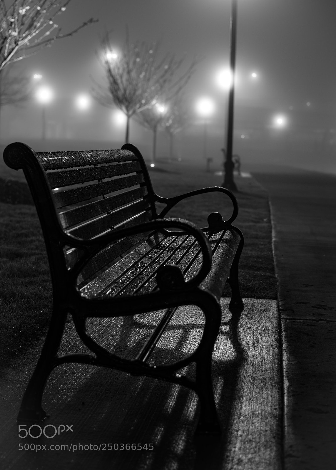 Nikon D5500 sample photo. B&w lakeside photography
