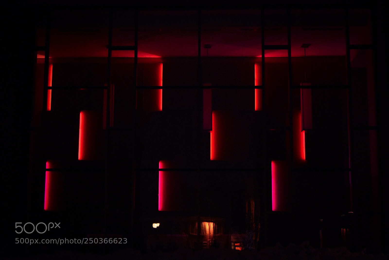 Nikon D7200 sample photo. Untitled photography