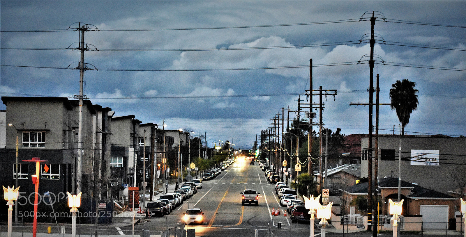 Nikon D3400 sample photo. Butterfly street photography