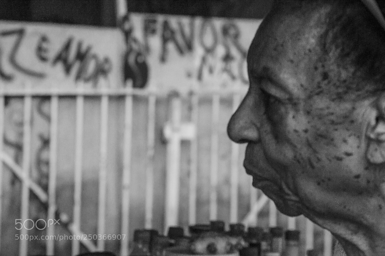 Nikon D3100 sample photo. Perfil photography