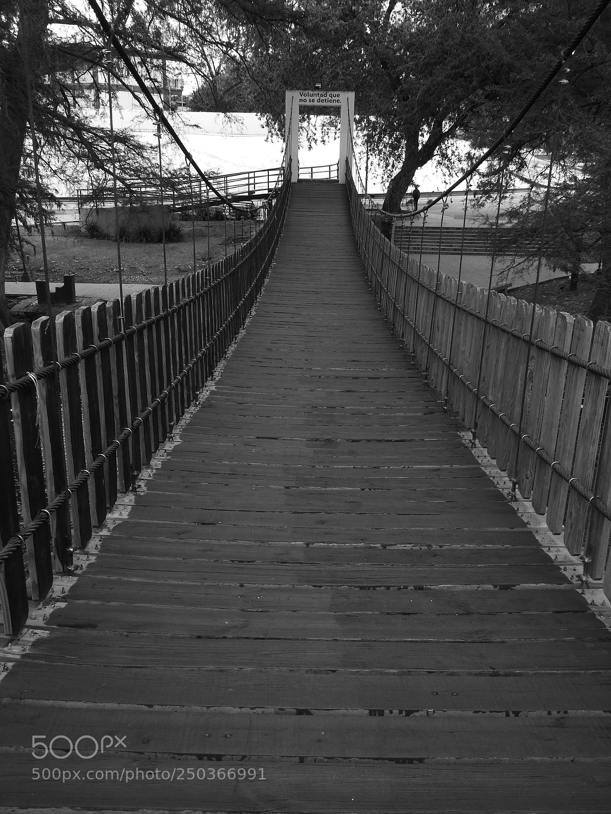 Nikon Coolpix P610 sample photo. Bridge photography