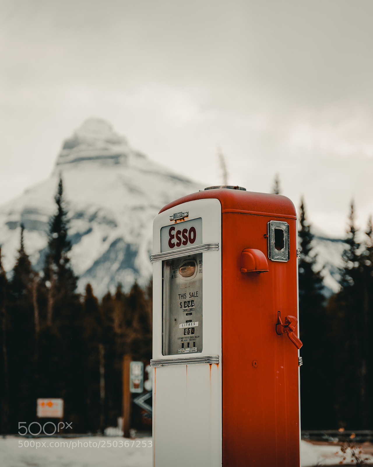 Nikon D600 sample photo. Esso photography