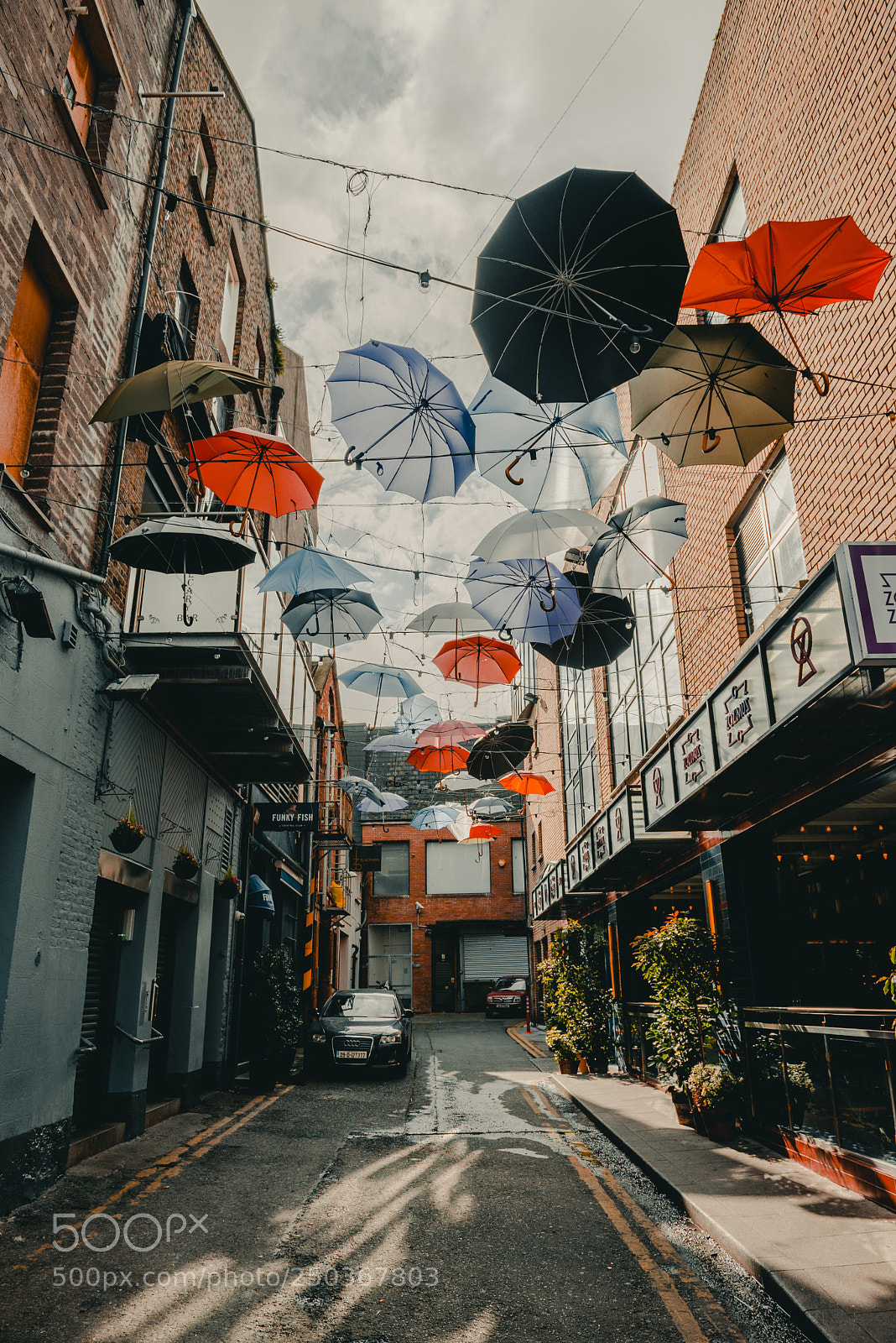 Nikon D610 sample photo. Hanging umbrellas photography