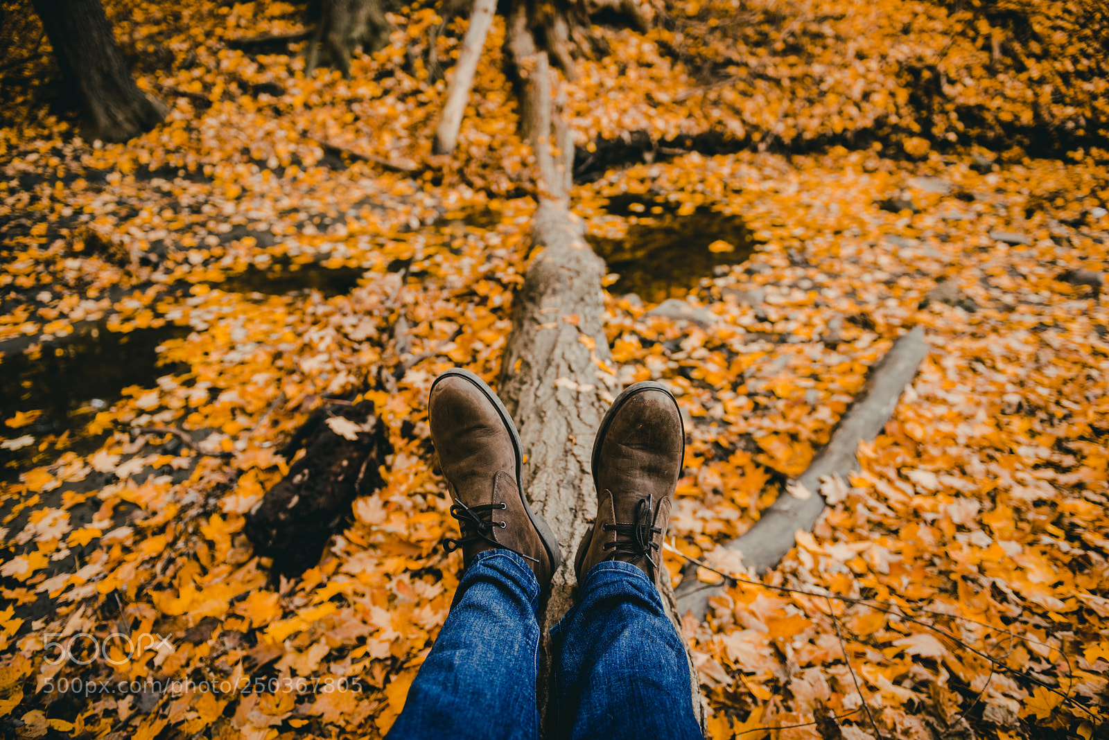 Nikon D610 sample photo. Relax and hangout photography