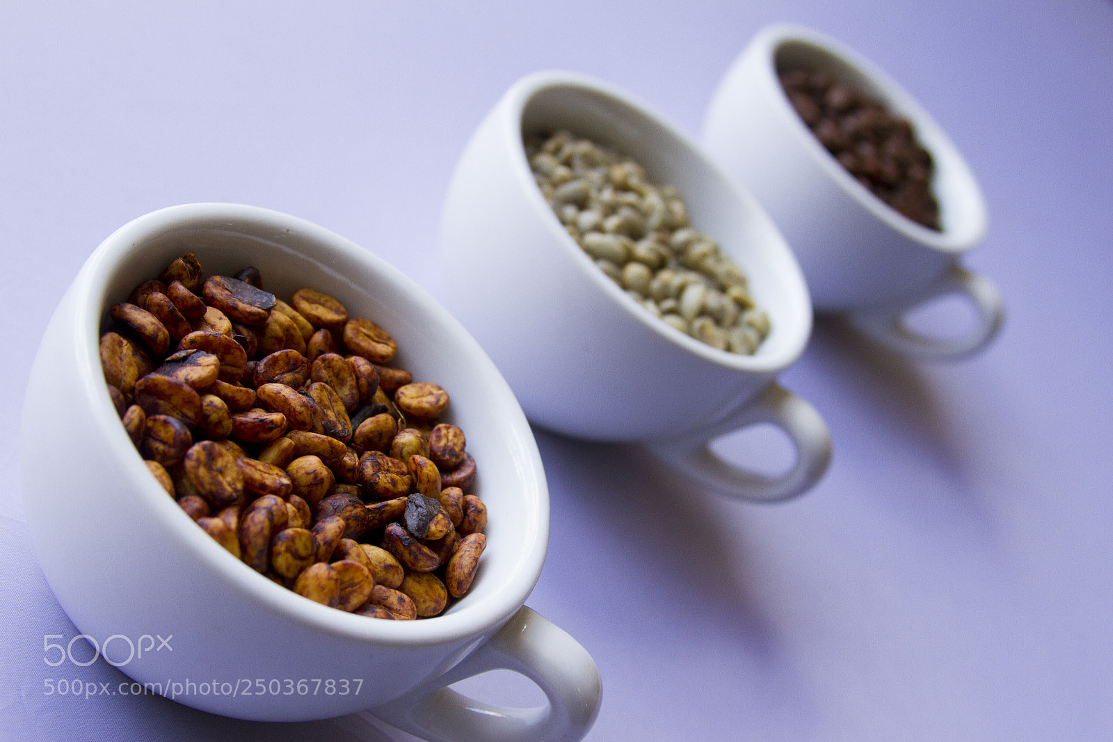 Canon EOS 7D sample photo. Red honey process photography