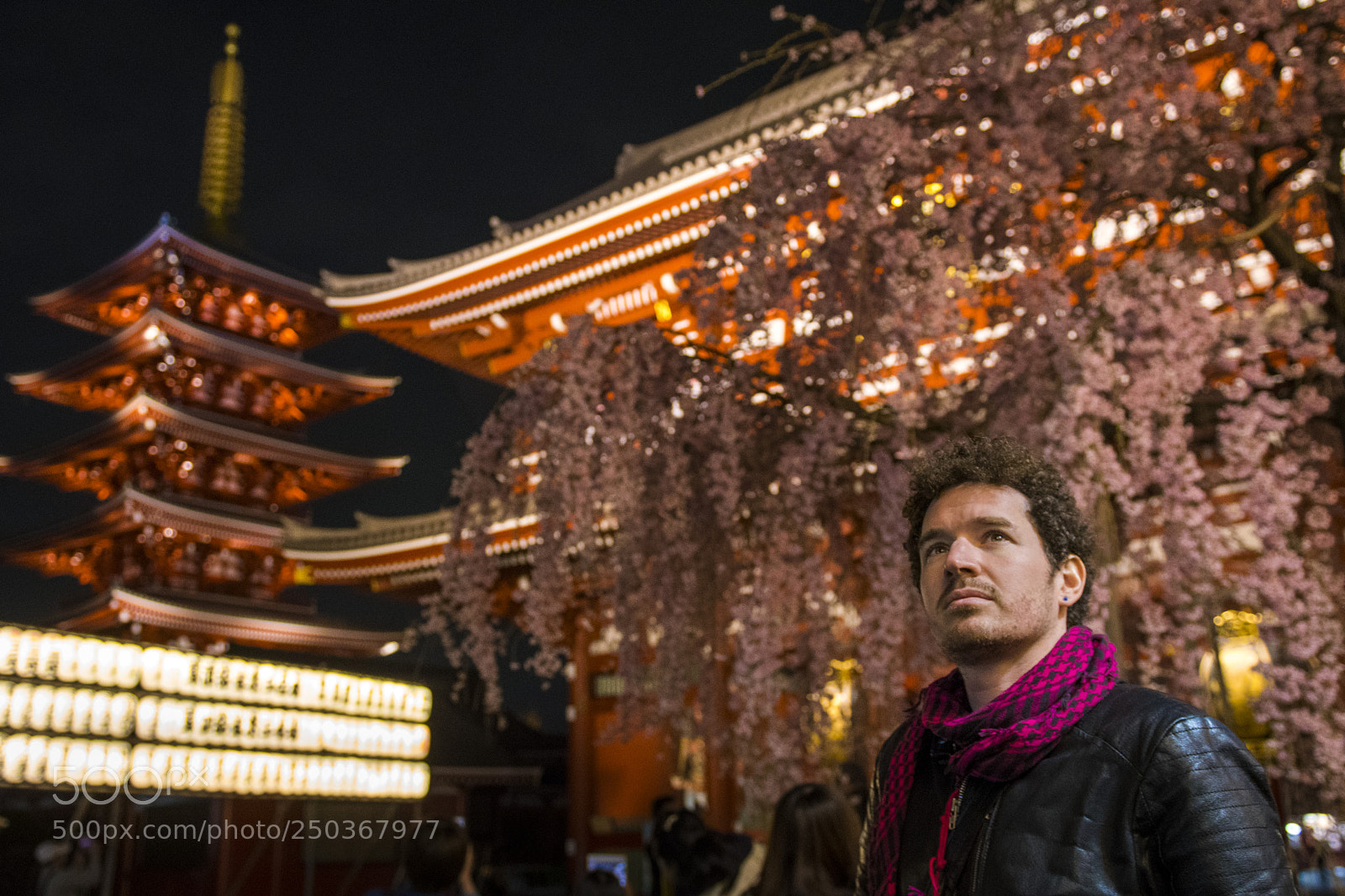 Nikon D500 sample photo. Sakura at senso-ji photography