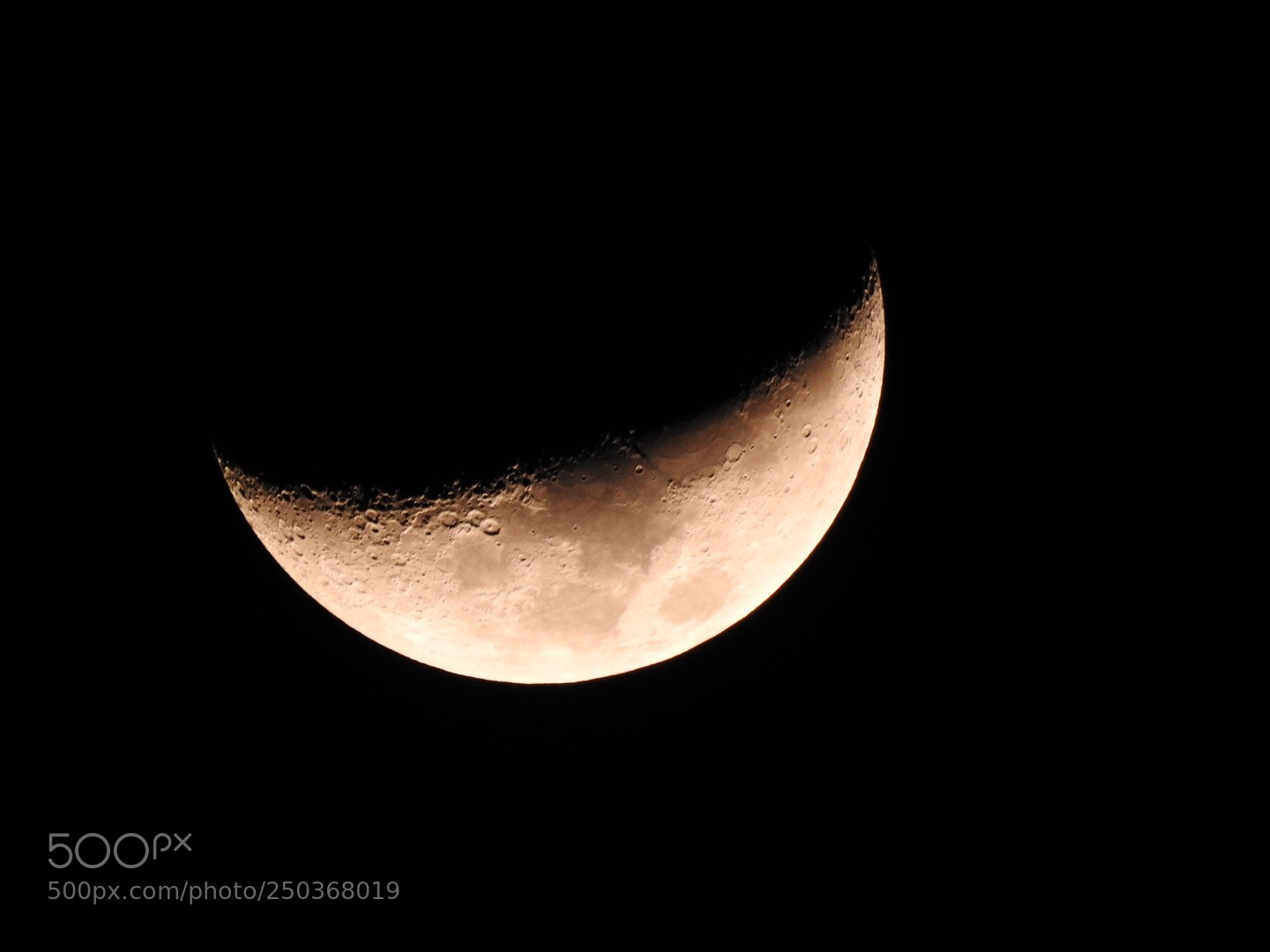 Nikon Coolpix P900 sample photo. Luna roja photography