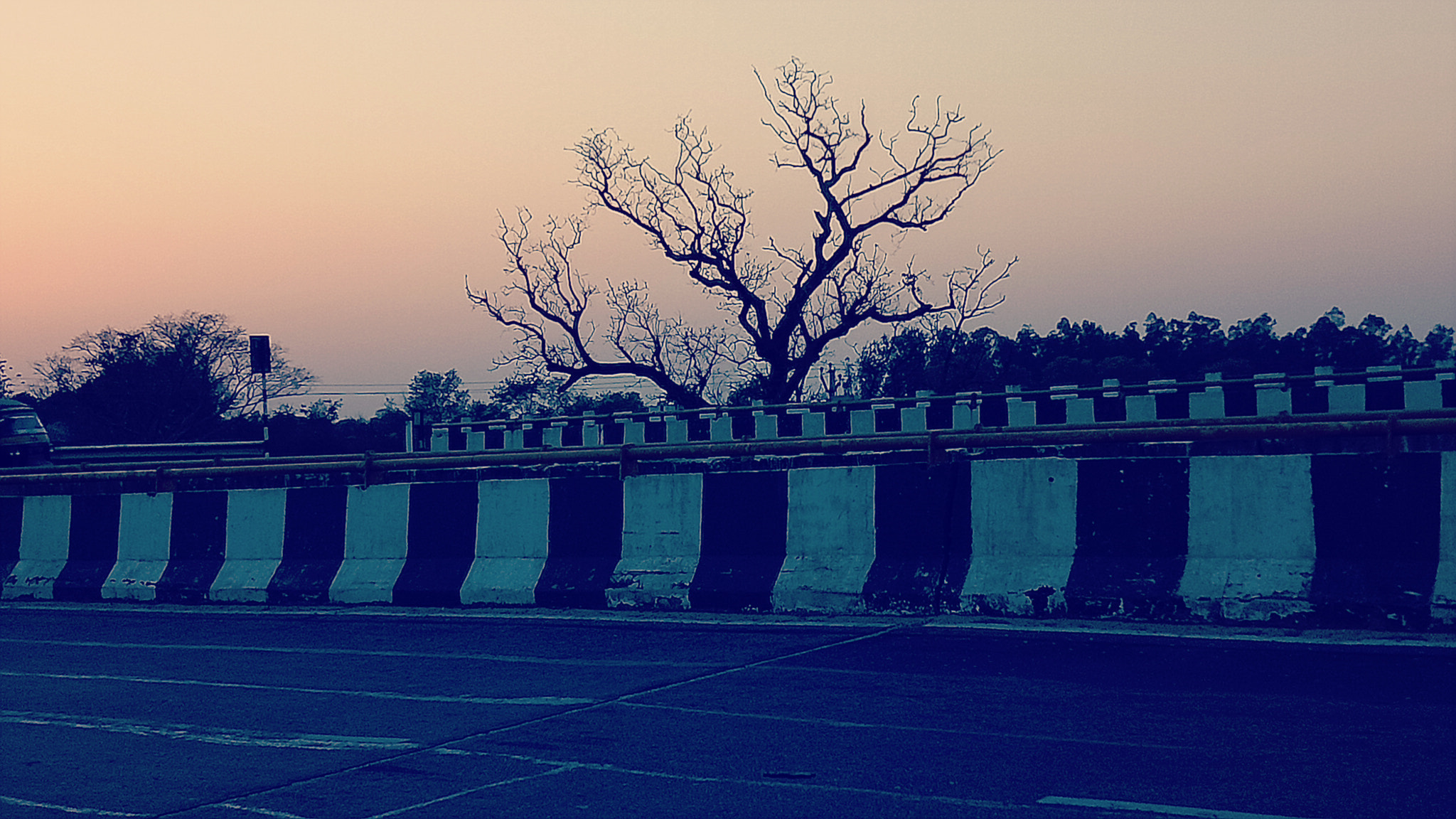 OPPO CPH1717 sample photo