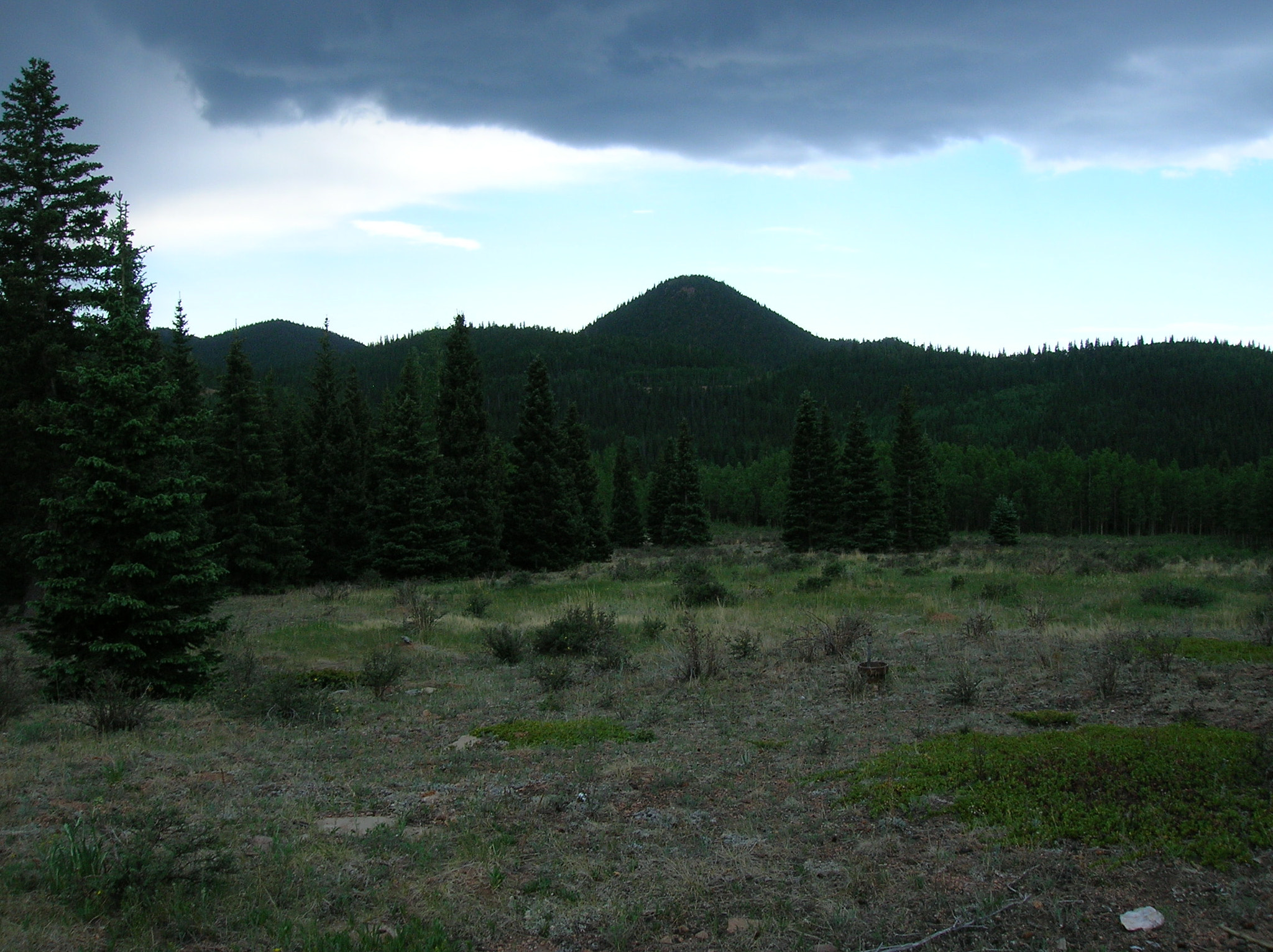 Nikon E4600 sample photo. Mountain forest photography