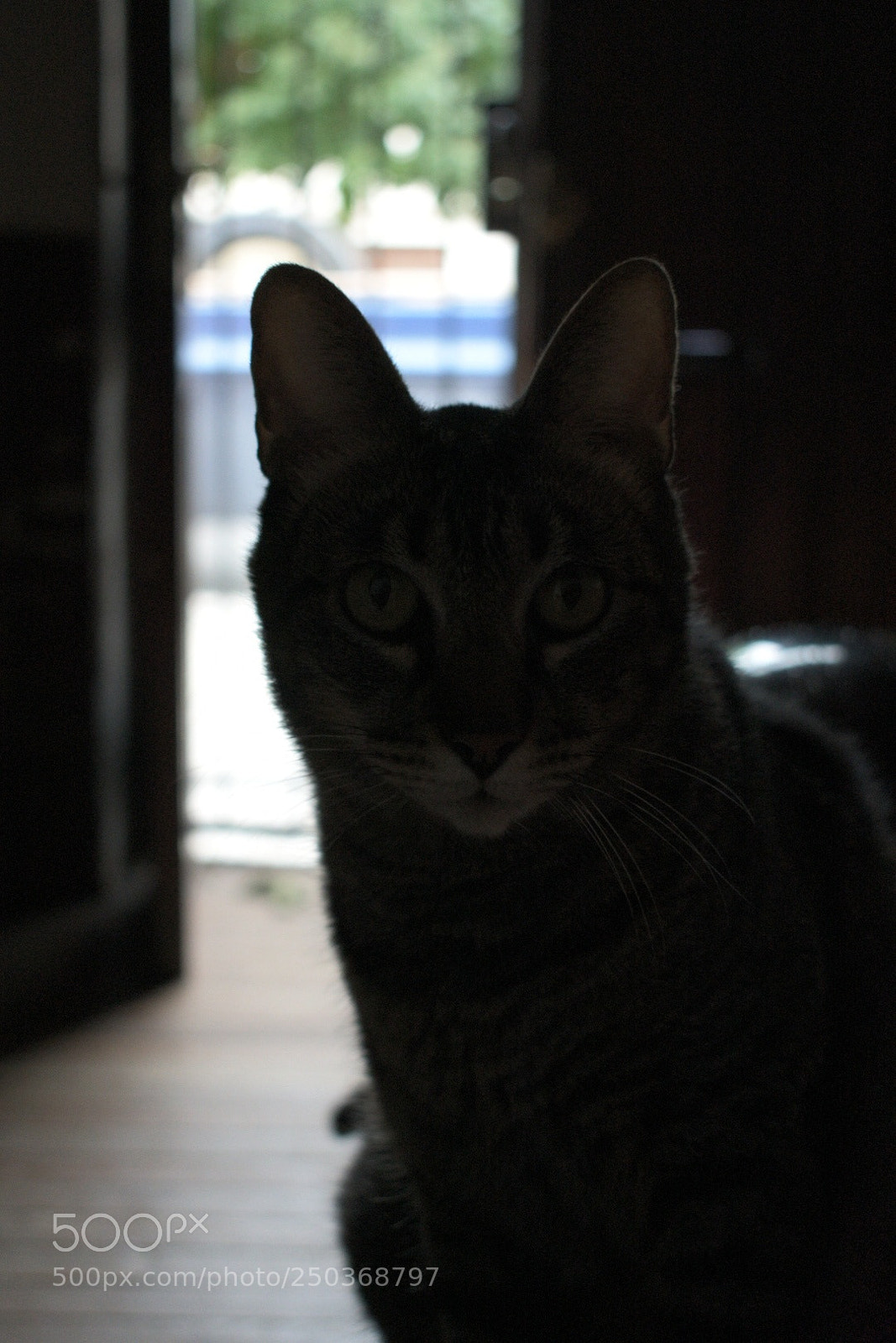 Nikon D3400 sample photo. Untitled photography