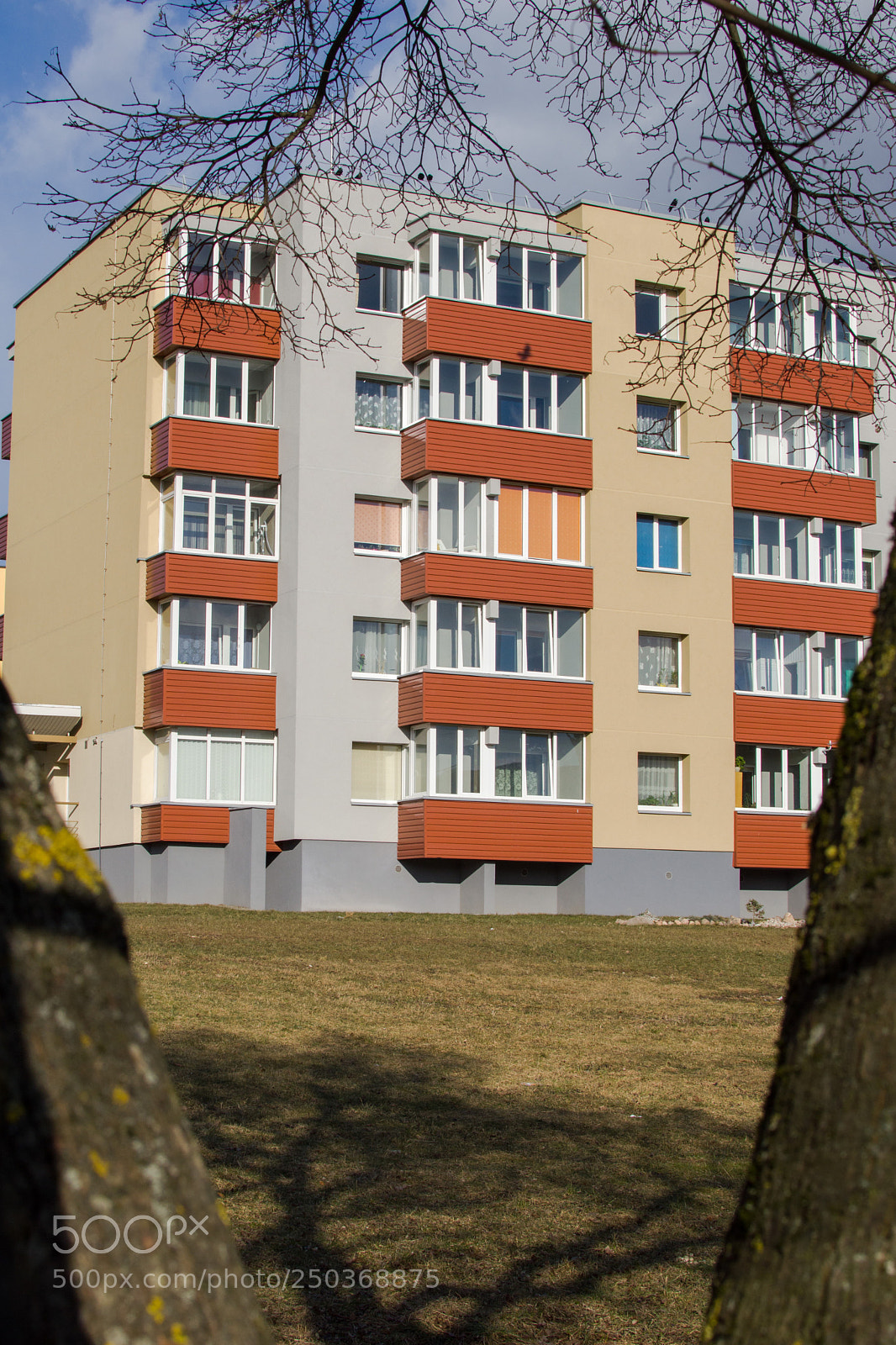 Nikon D3200 sample photo. The face of reticence photography