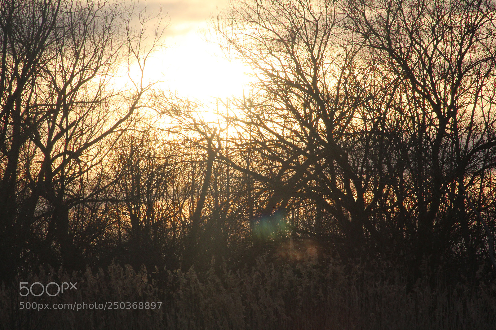 Canon EOS 1300D (EOS Rebel T6 / EOS Kiss X80) sample photo. Sunset  photography