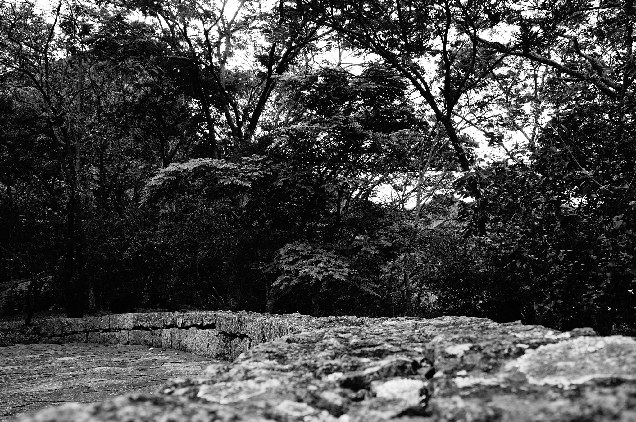 Sony Alpha NEX-F3 sample photo