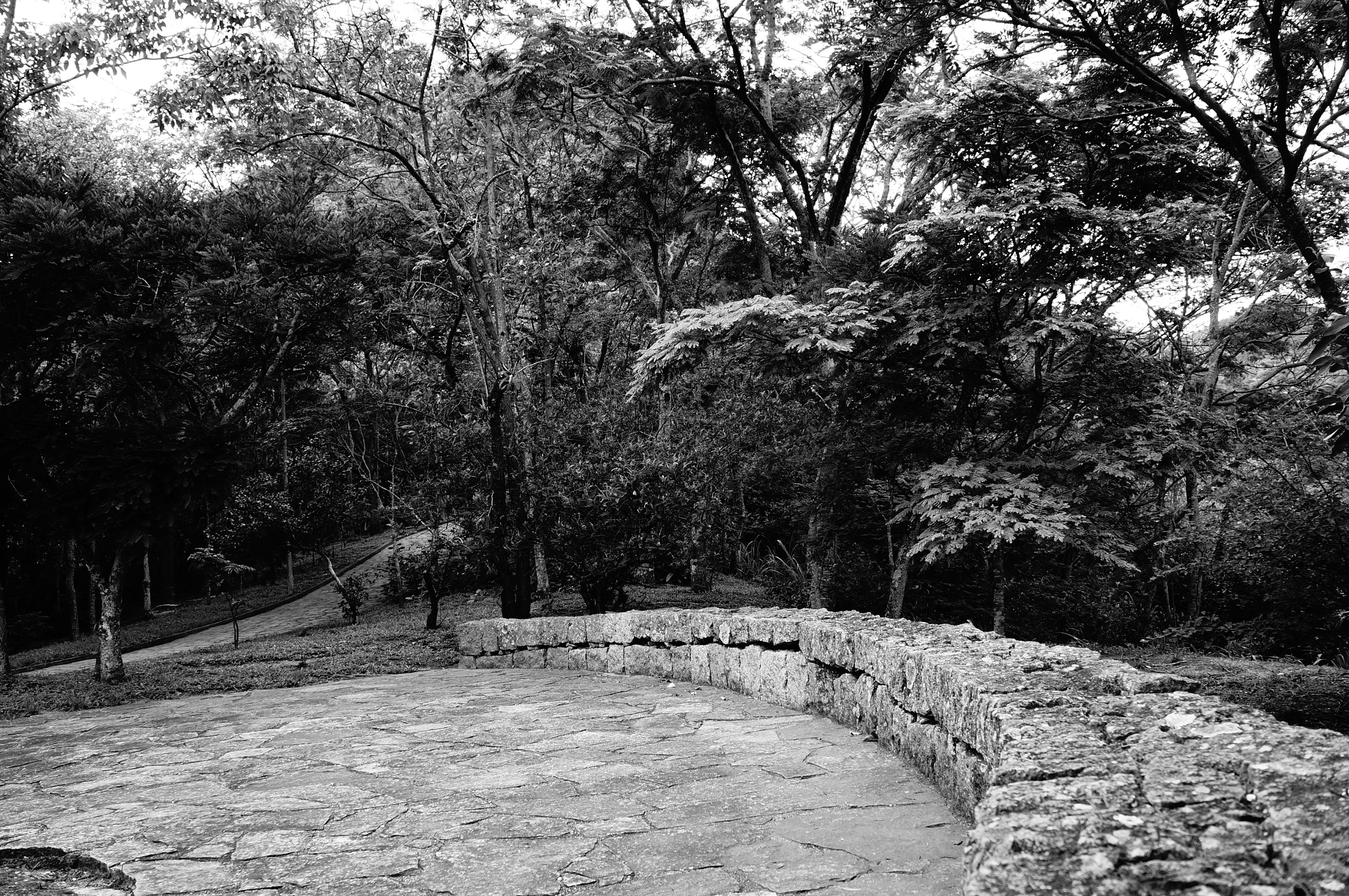 Sony Alpha NEX-F3 sample photo