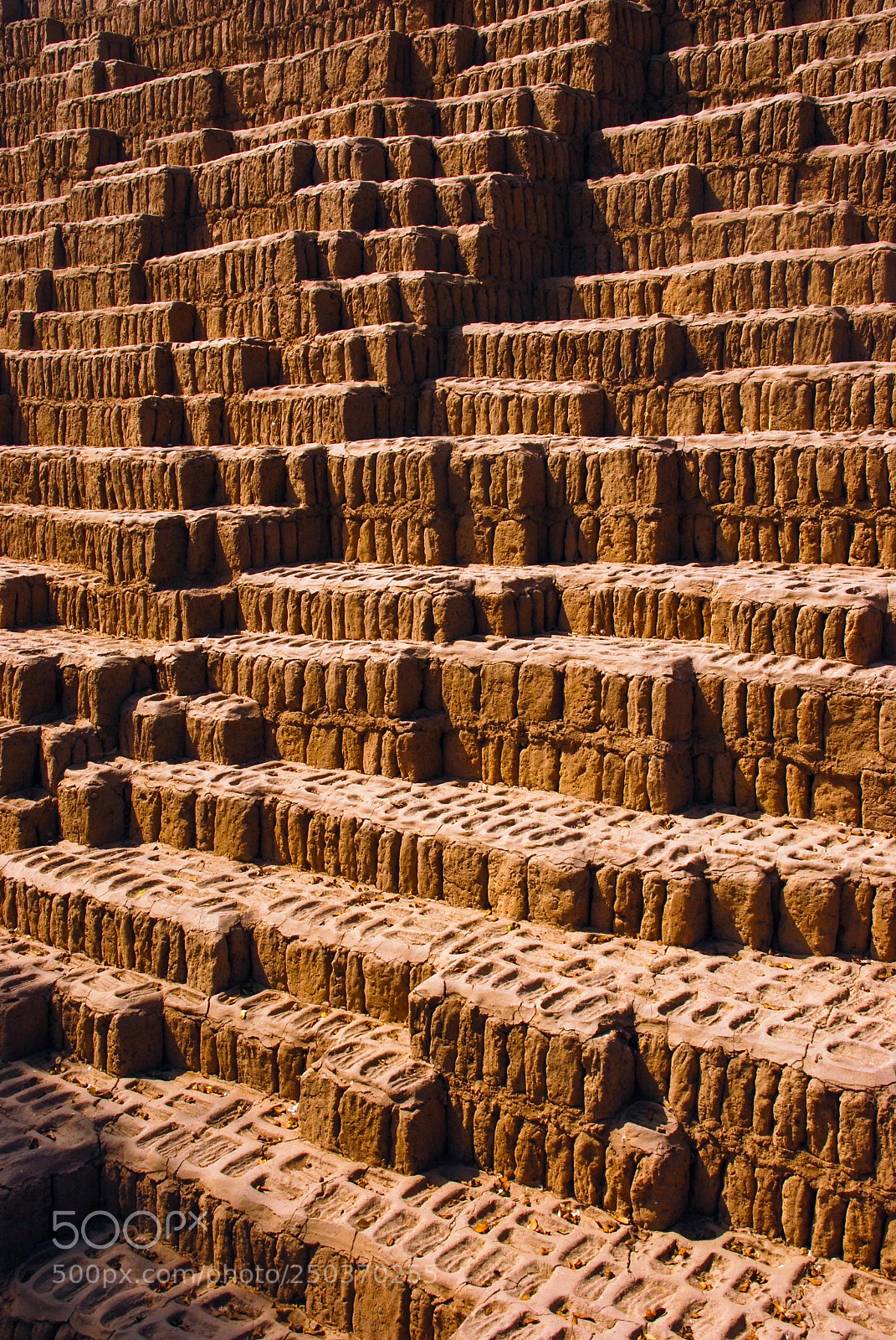 Nikon D80 sample photo. Mud steps photography