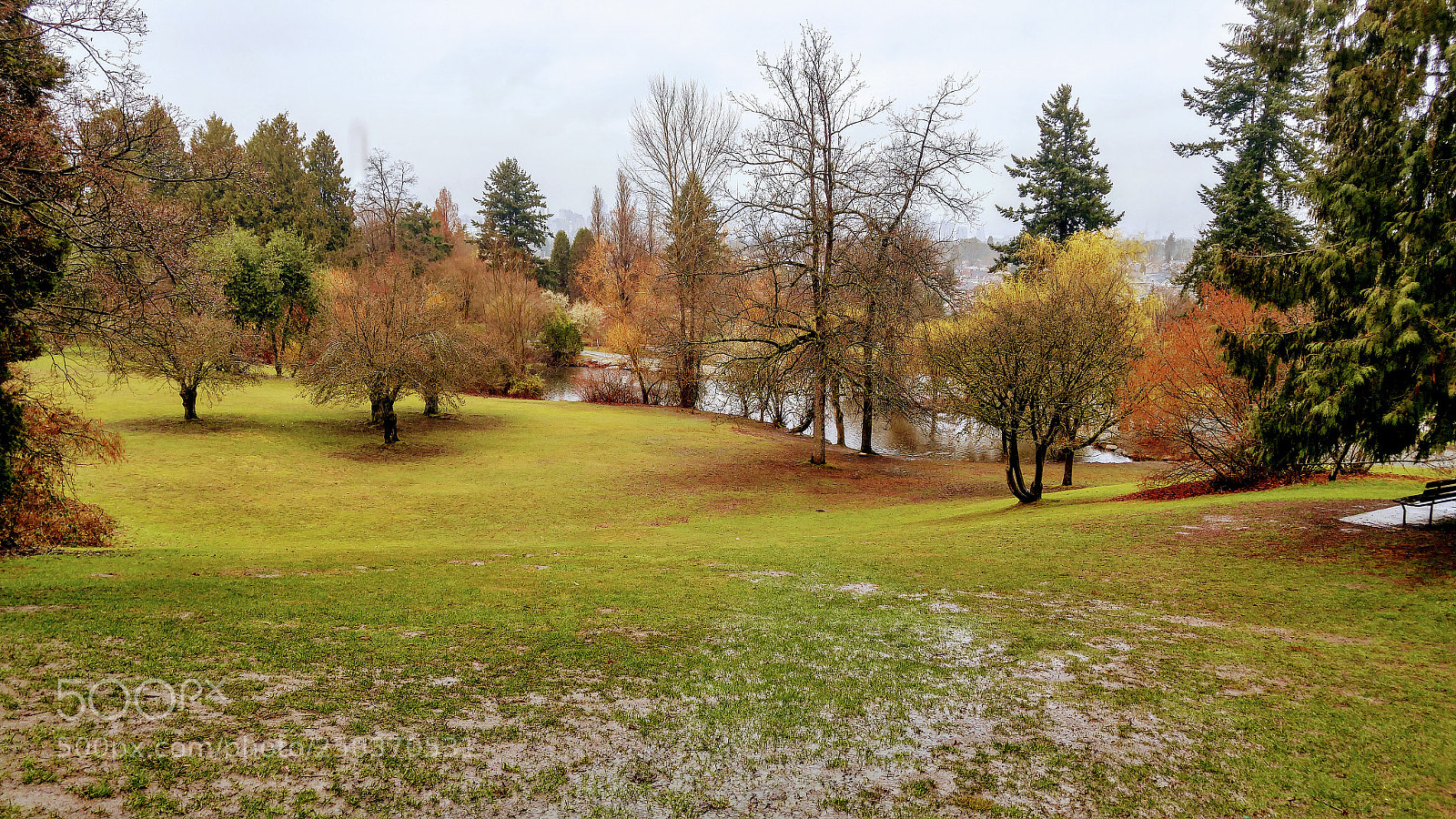 LG G4 sample photo. Mud slide photography