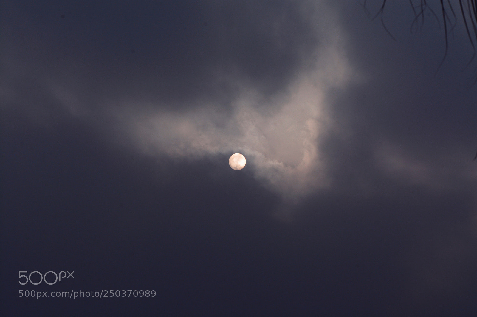 Nikon D7100 sample photo. Untitled photography