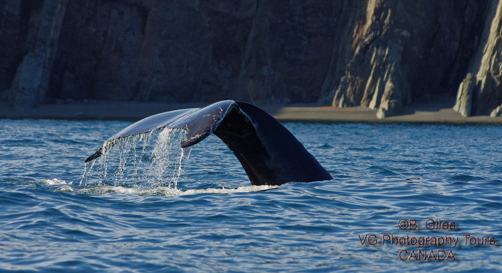 Pentax K-5 IIs + Pentax smc DA* 60-250mm F4.0 ED (IF) SDM sample photo. Deep dive photography