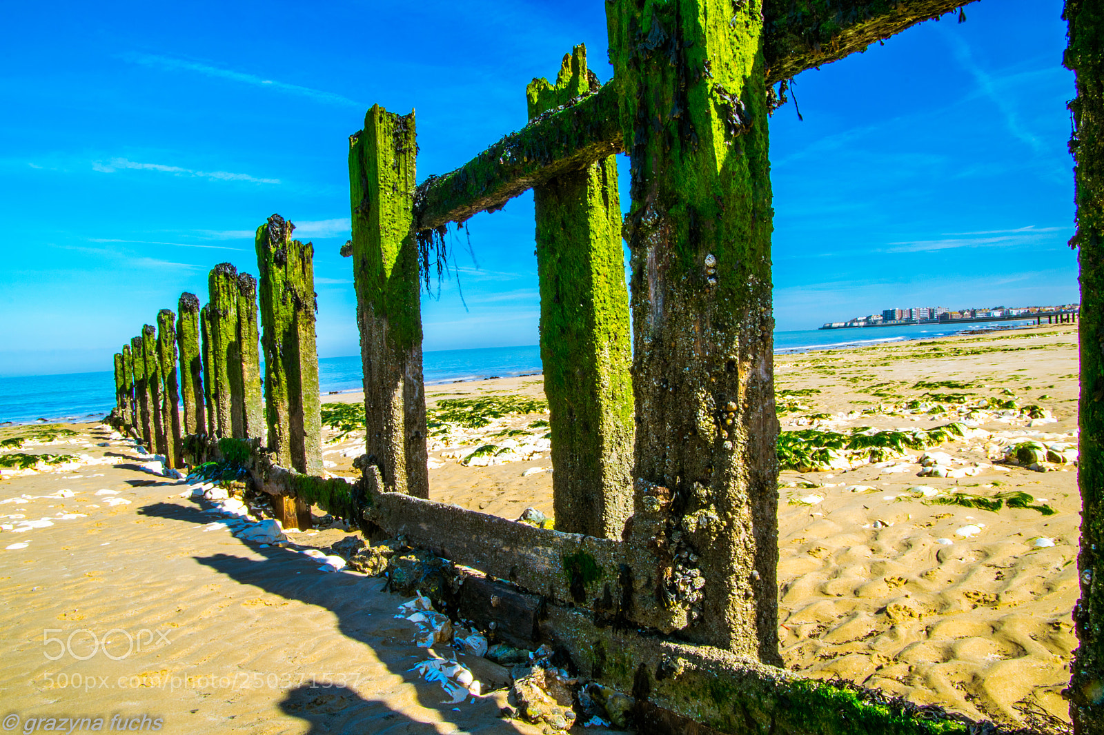 Nikon D3300 sample photo. The sea is as photography