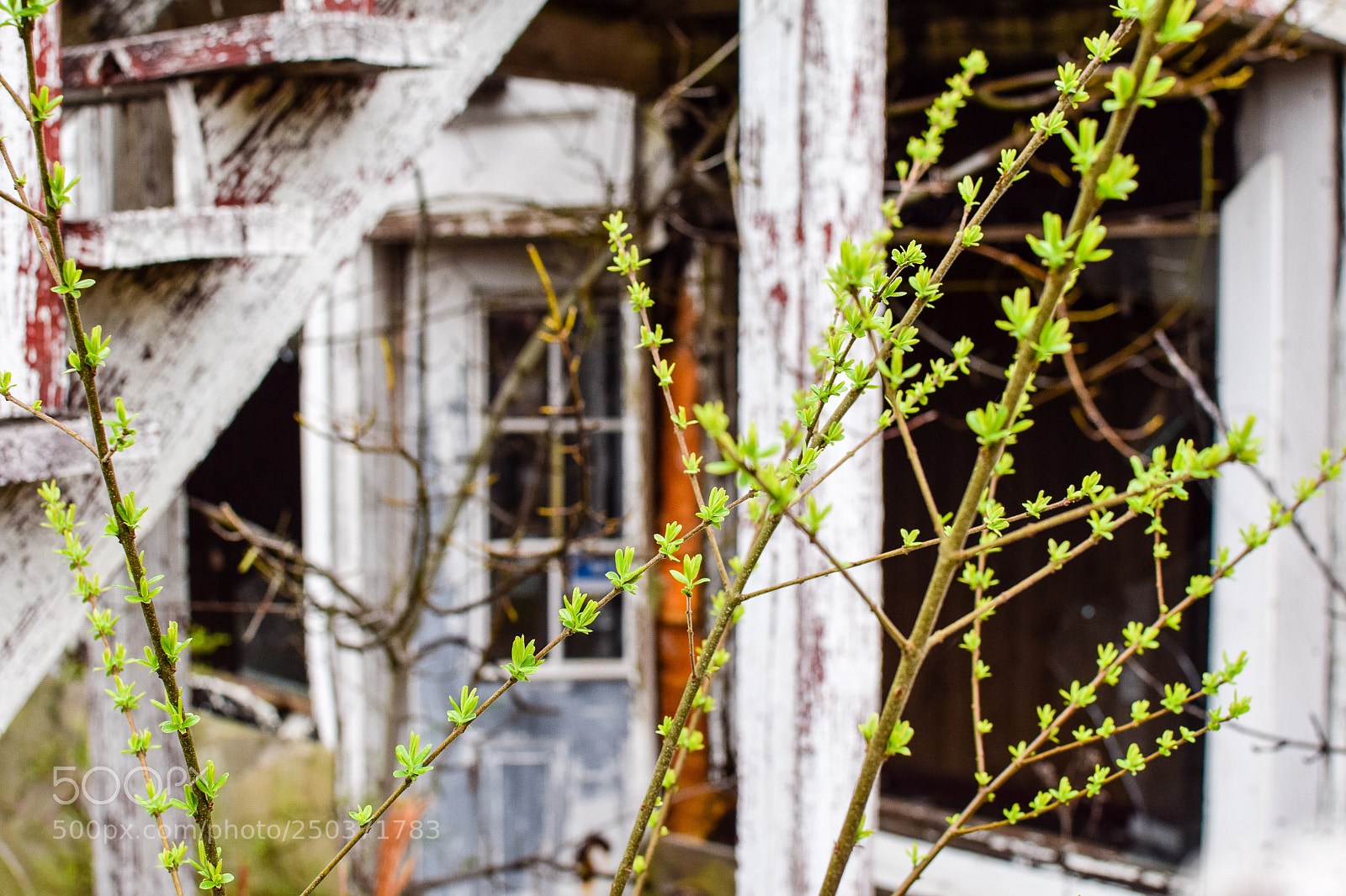 Nikon D3300 sample photo. Untitled photography