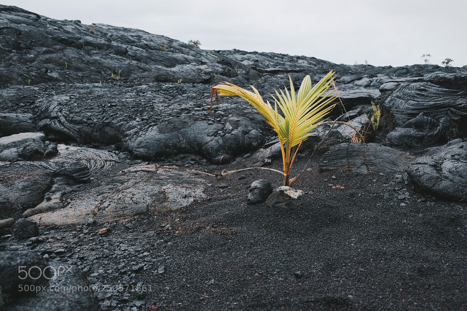Fujifilm X-T20 sample photo. Lava life photography
