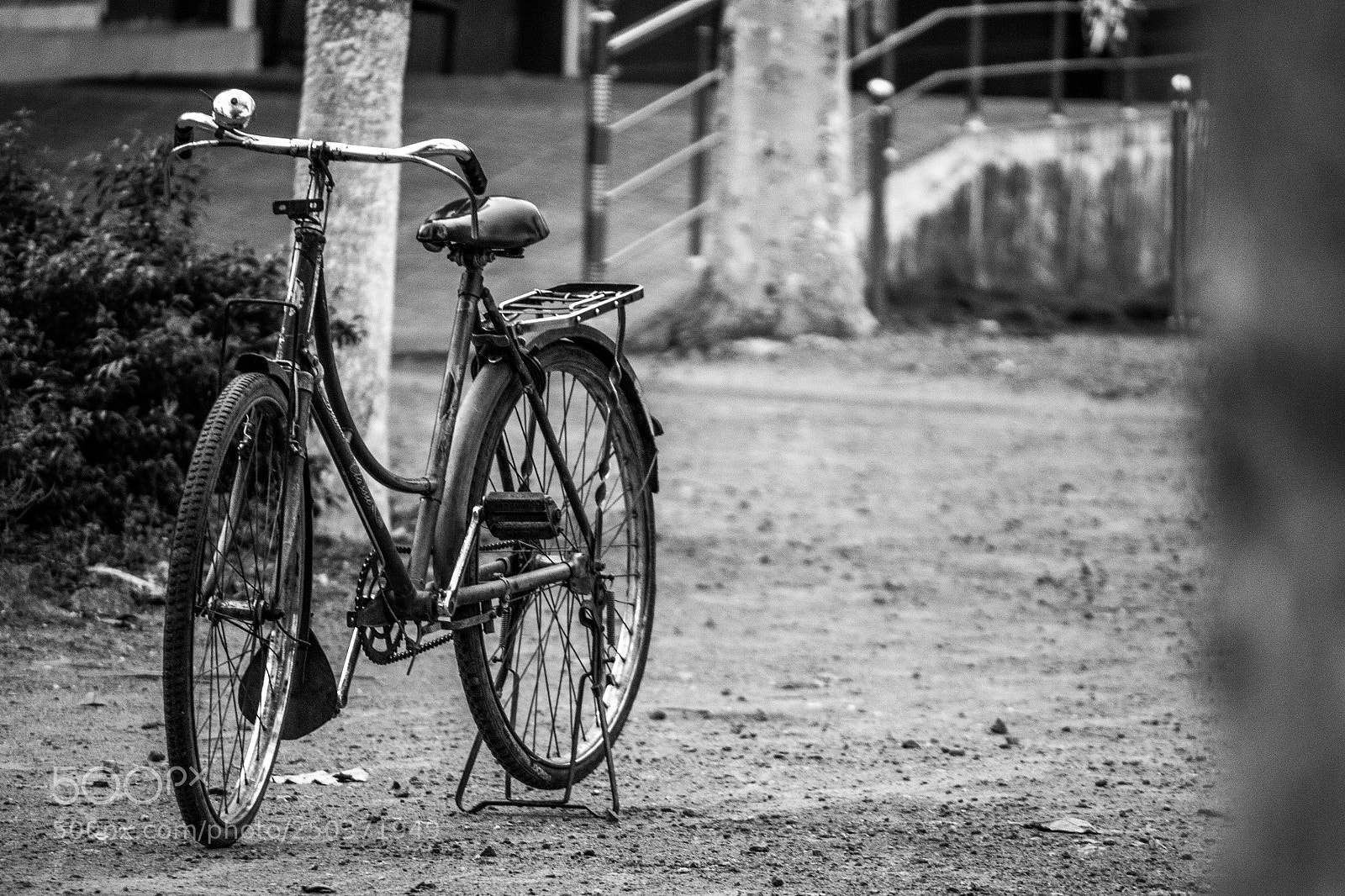Canon EOS 700D (EOS Rebel T5i / EOS Kiss X7i) sample photo. Cycle in solidarity photography