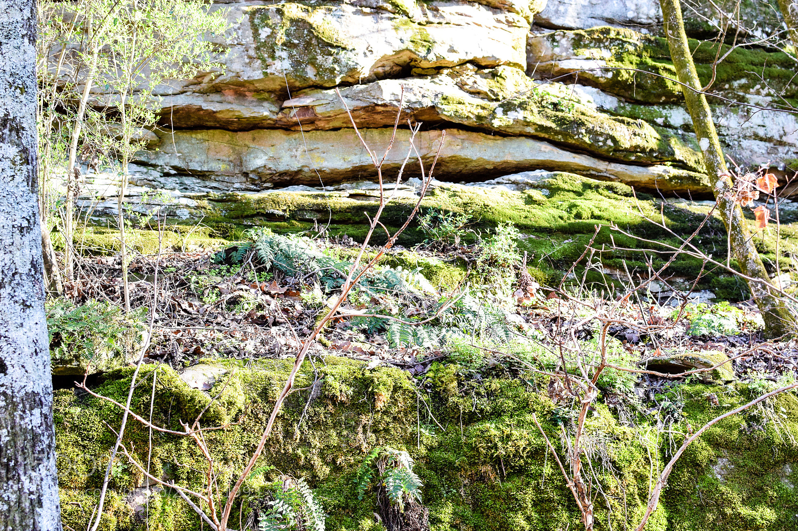 Nikon D3300 sample photo. Untitled photography