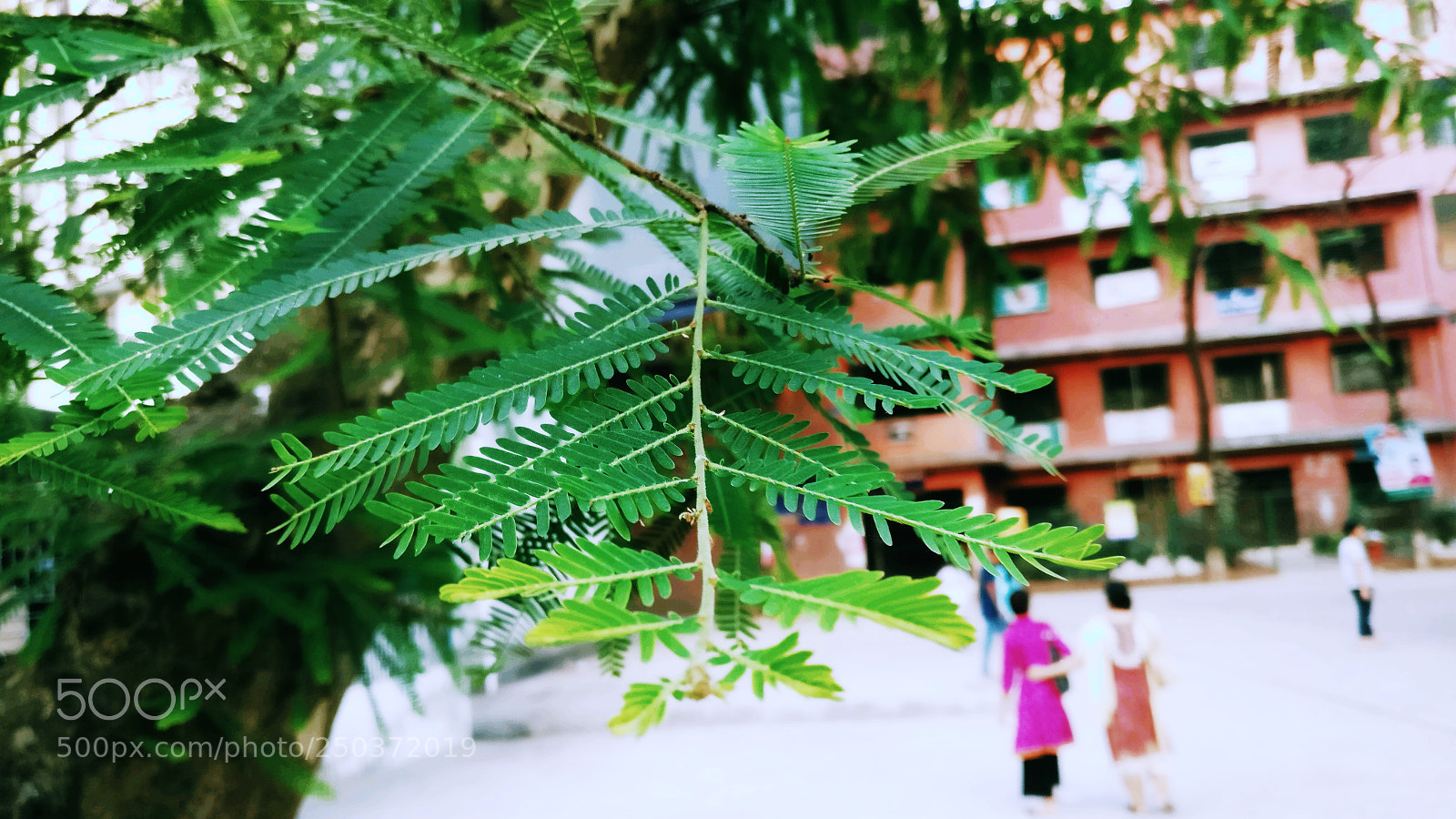 OnePlus A3003 sample photo. Untitled photography