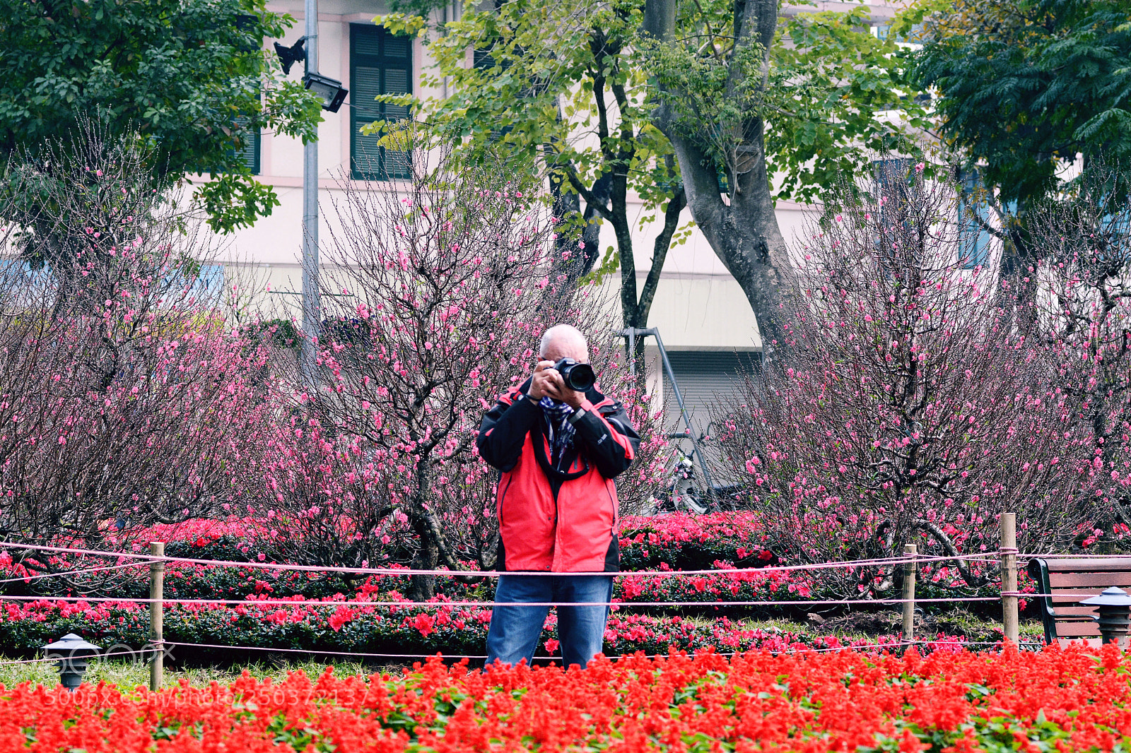 Nikon D7100 sample photo. Untitled photography