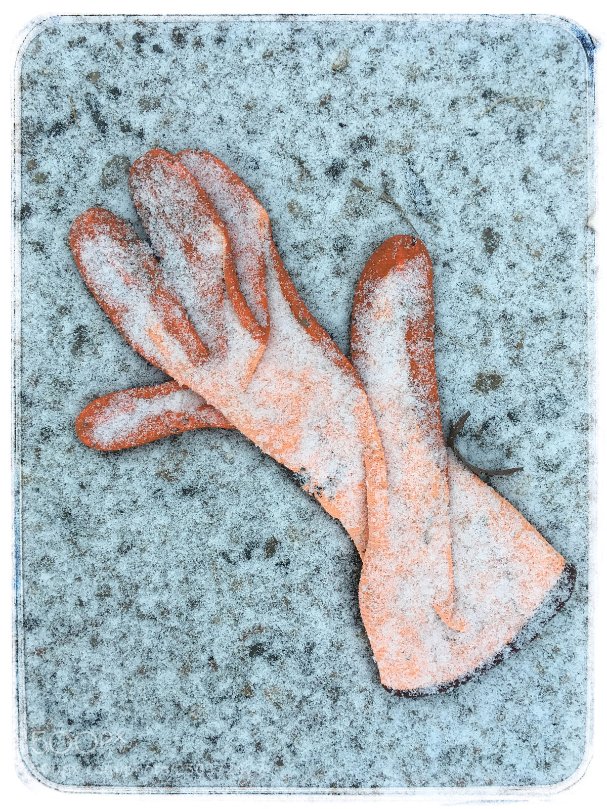 Apple iPhone SE sample photo. Orange glove with a photography