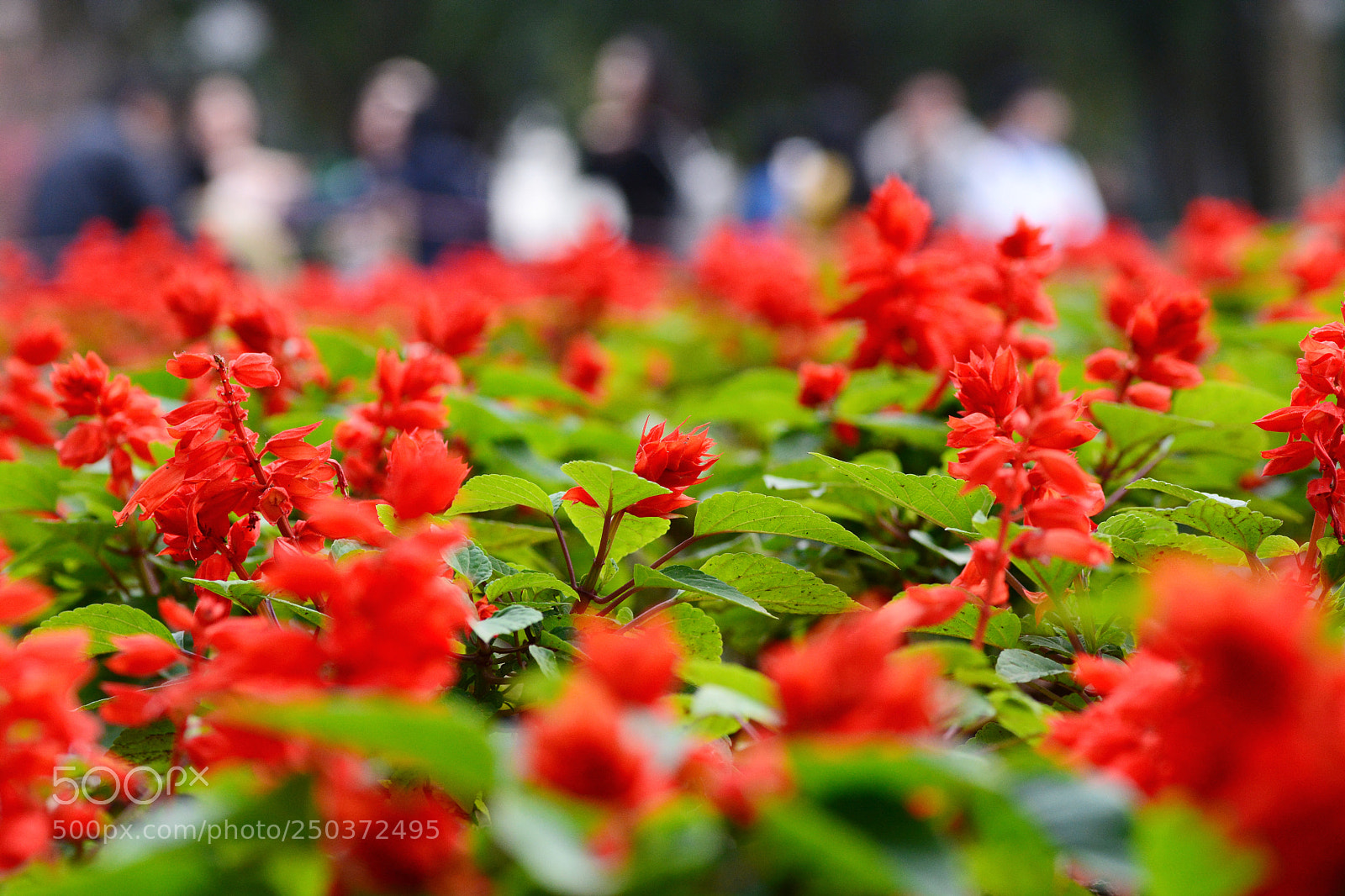 Nikon D7100 sample photo. Untitled photography