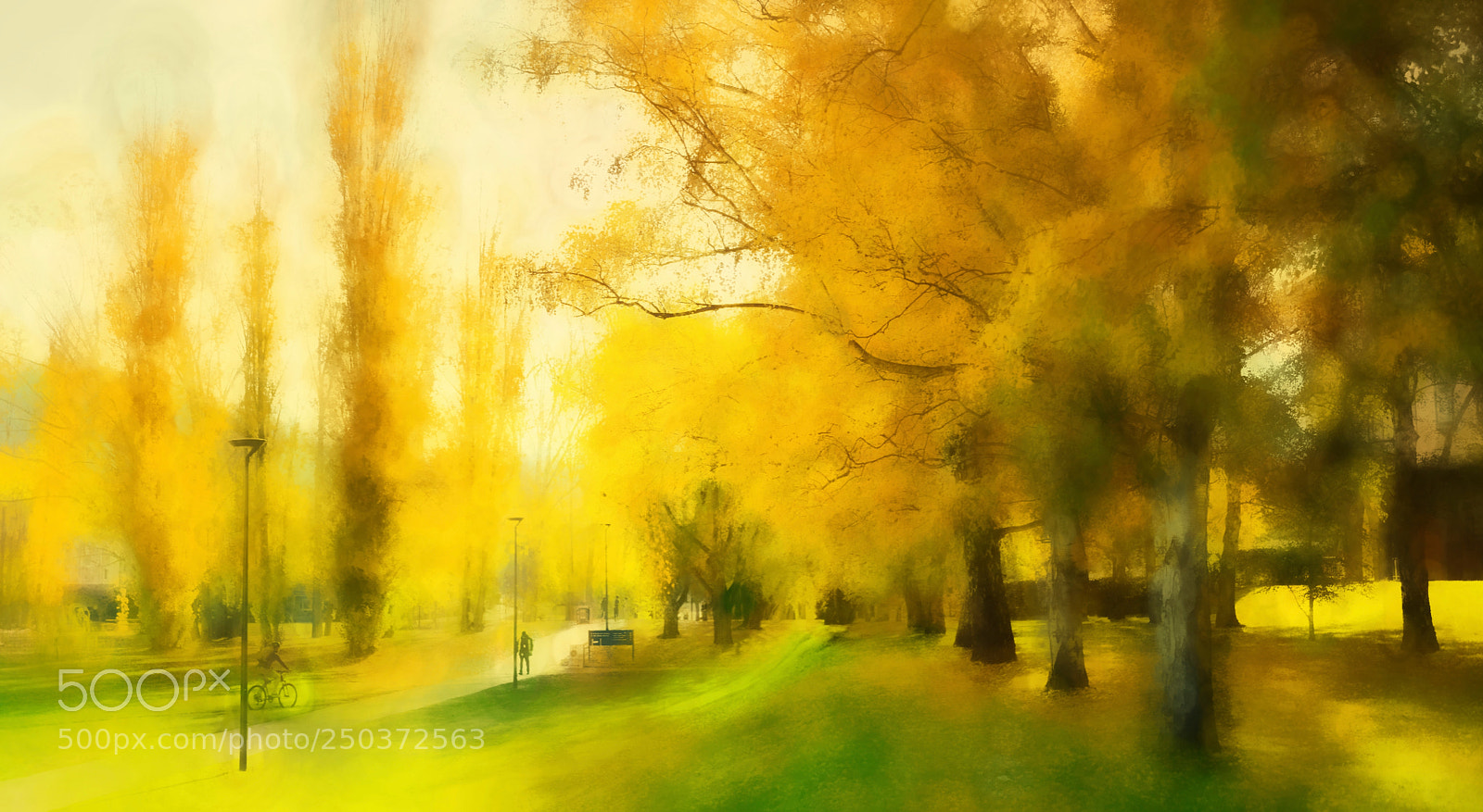 Nikon D800E sample photo. Golden autumn photography