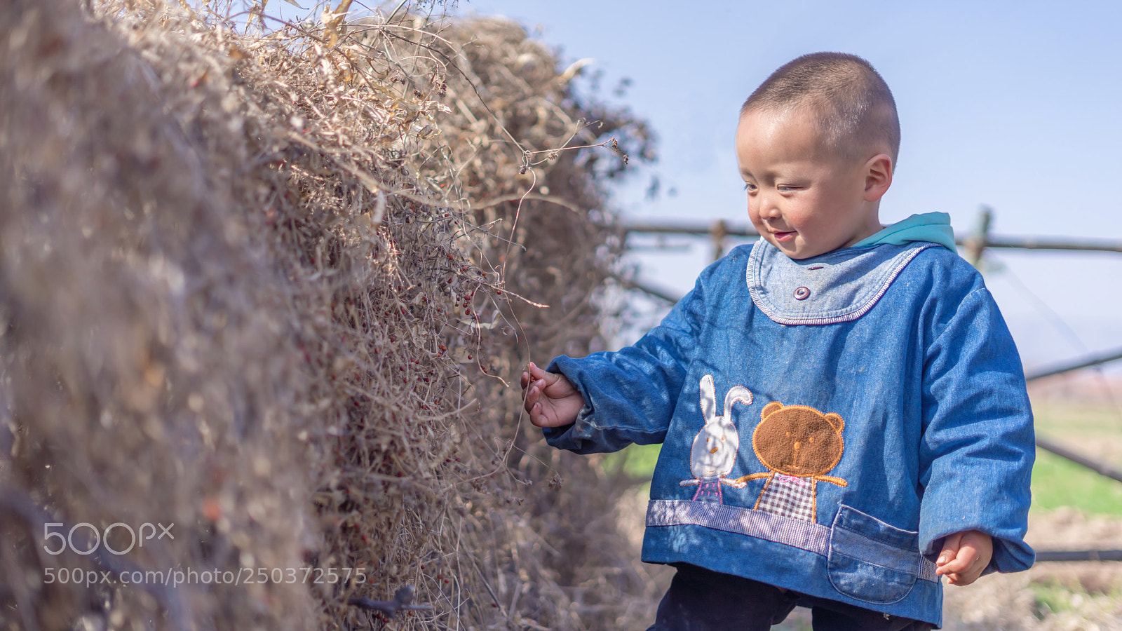 Sony a7 II sample photo. Untitled photography