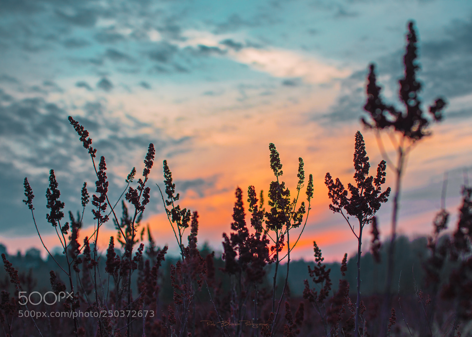 Canon EOS 5D Mark IV sample photo. Another day, another sunset photography