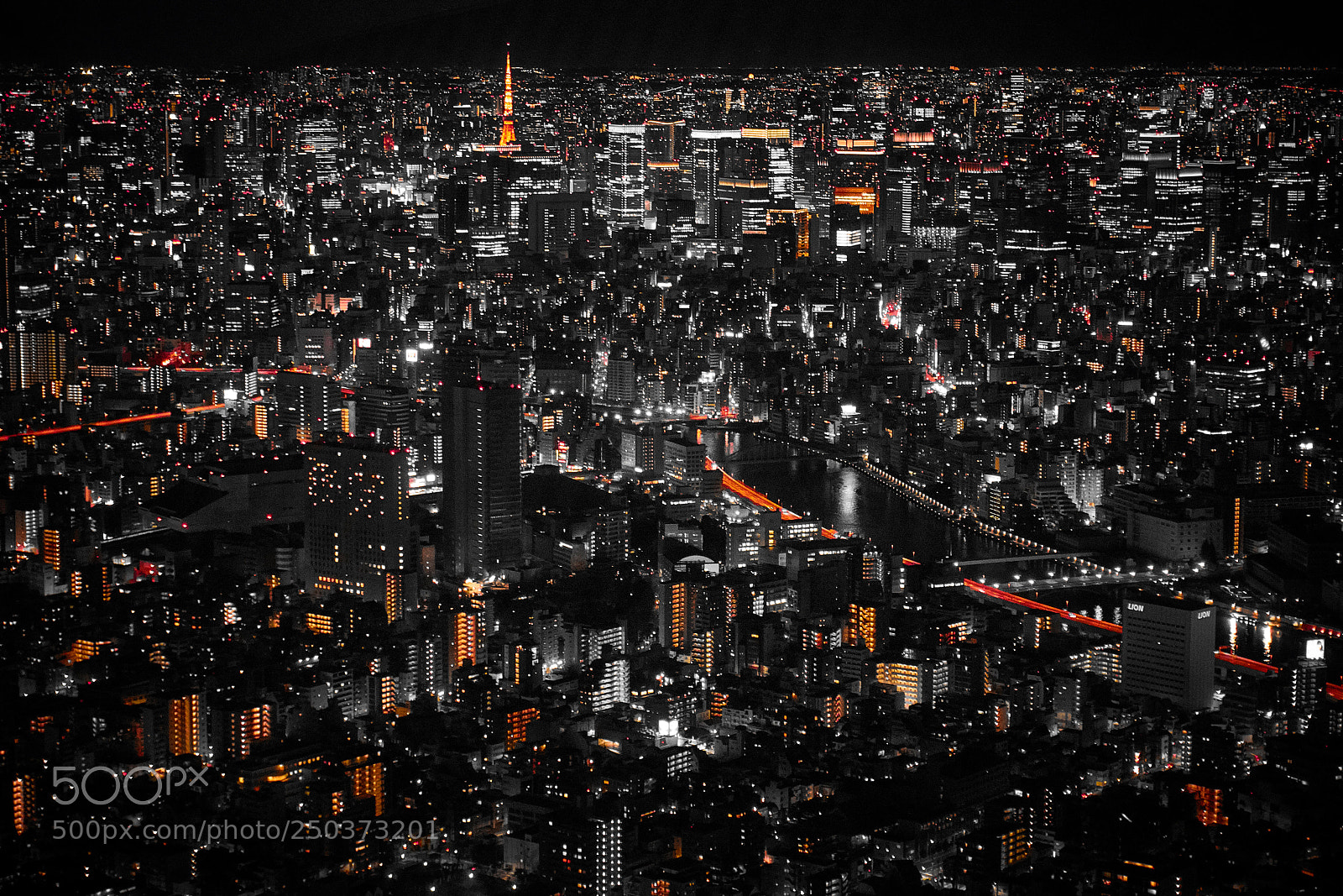 Sony a6000 sample photo. Nights scene of tokyo photography