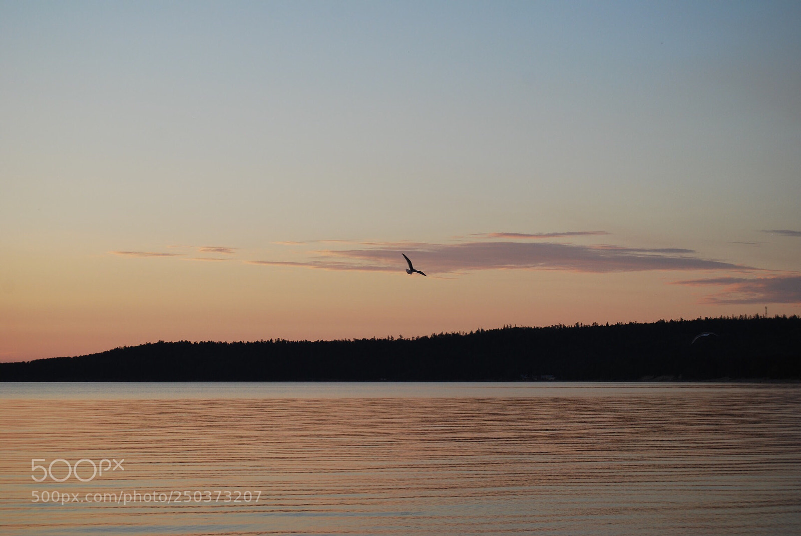 Nikon D40X sample photo. Baikal (past summer)  photography